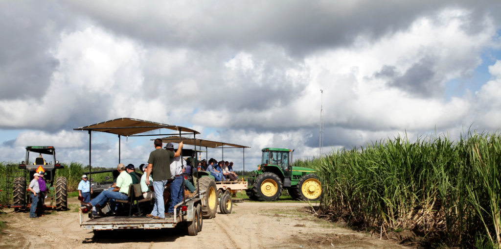 2019 USDA-Lafourche-Terrebonne Sugarcane Field Day Photographs ...